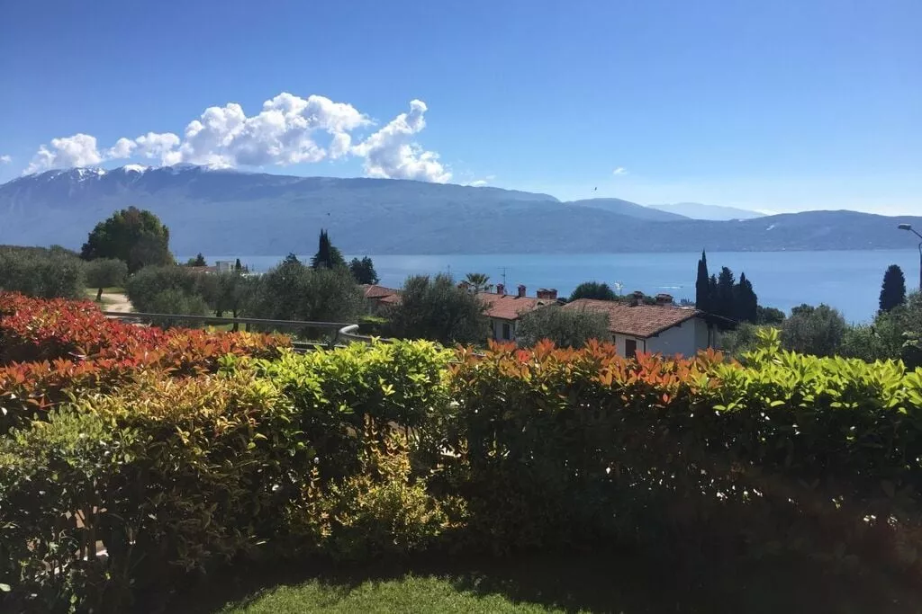 210836-View