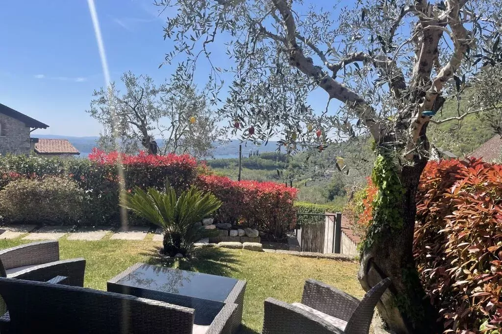 210836-View