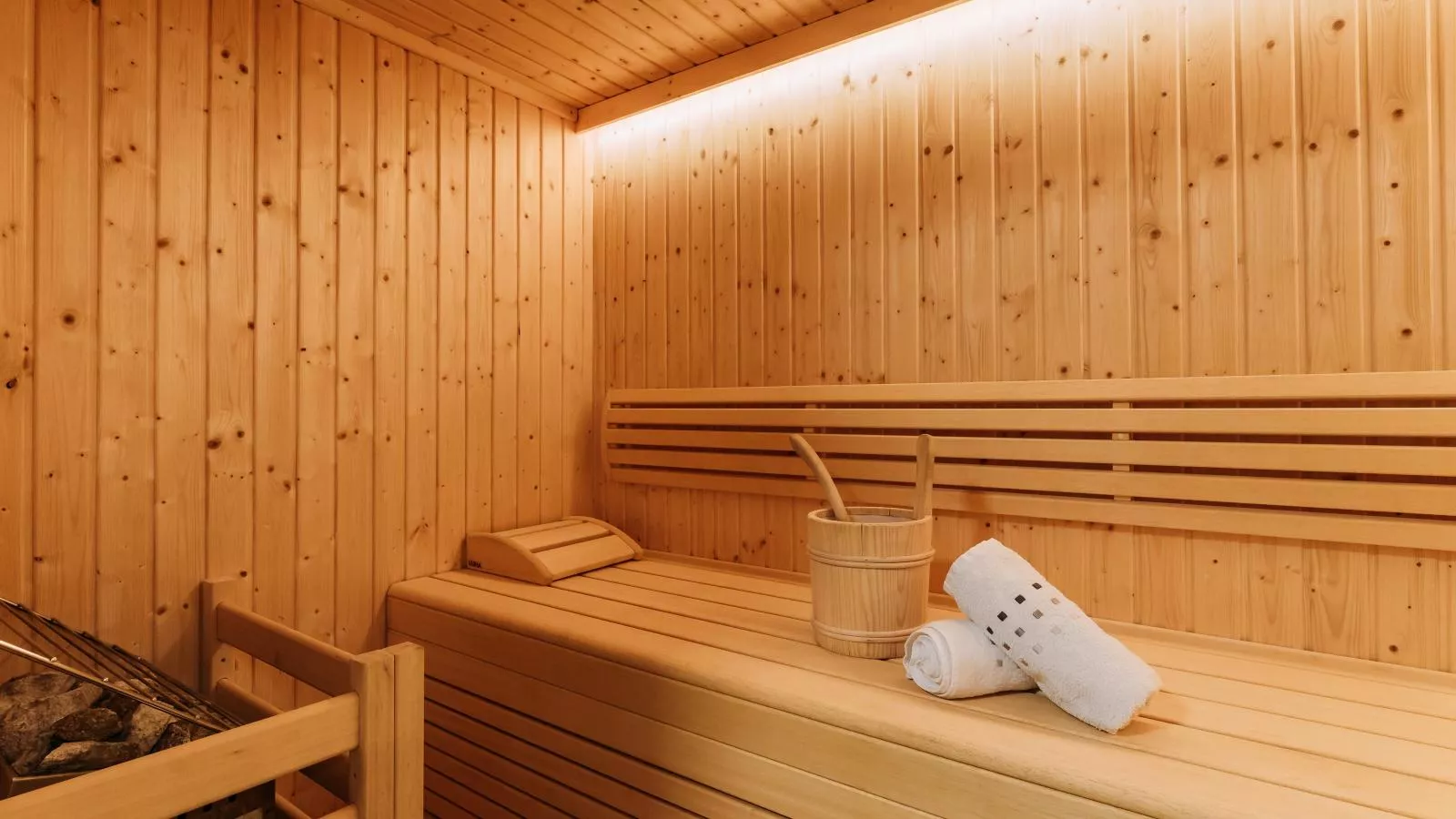 Barney M-Sauna