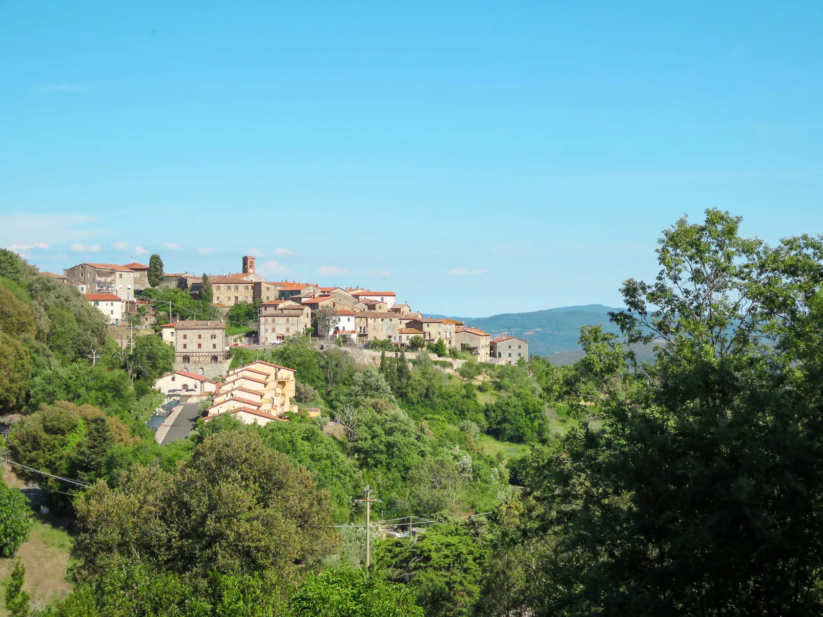 Corbezzolo-Area