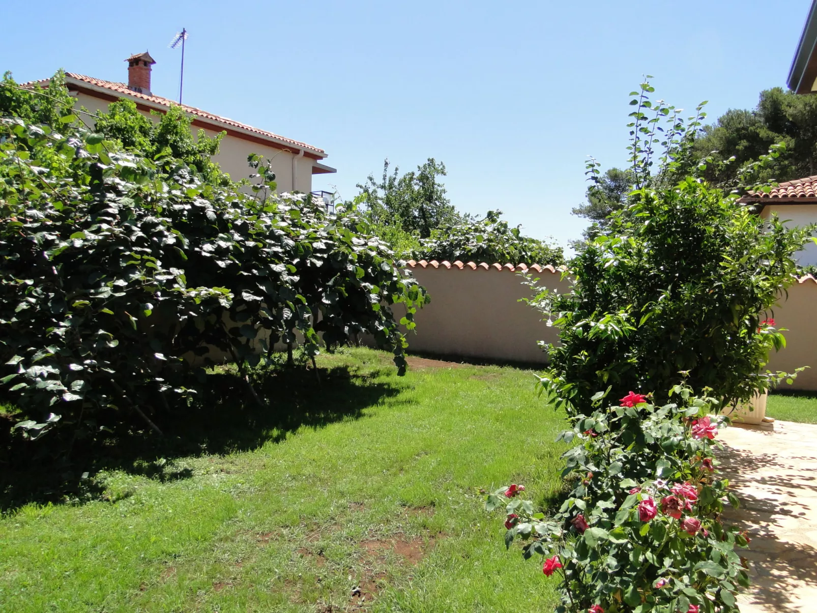 Apartment Pino-Outside