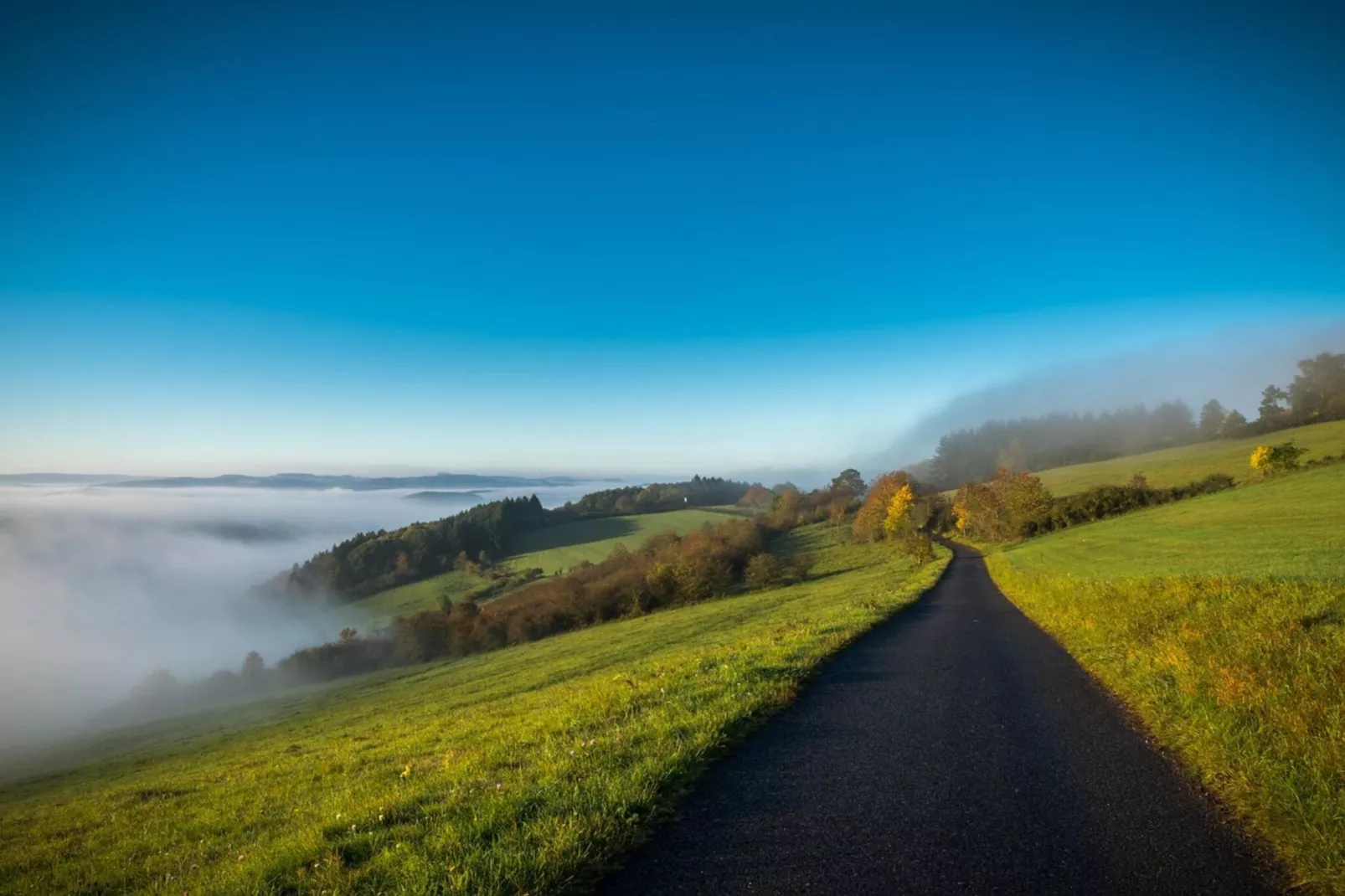 Eschbachtal-Zones d'été à 20 km