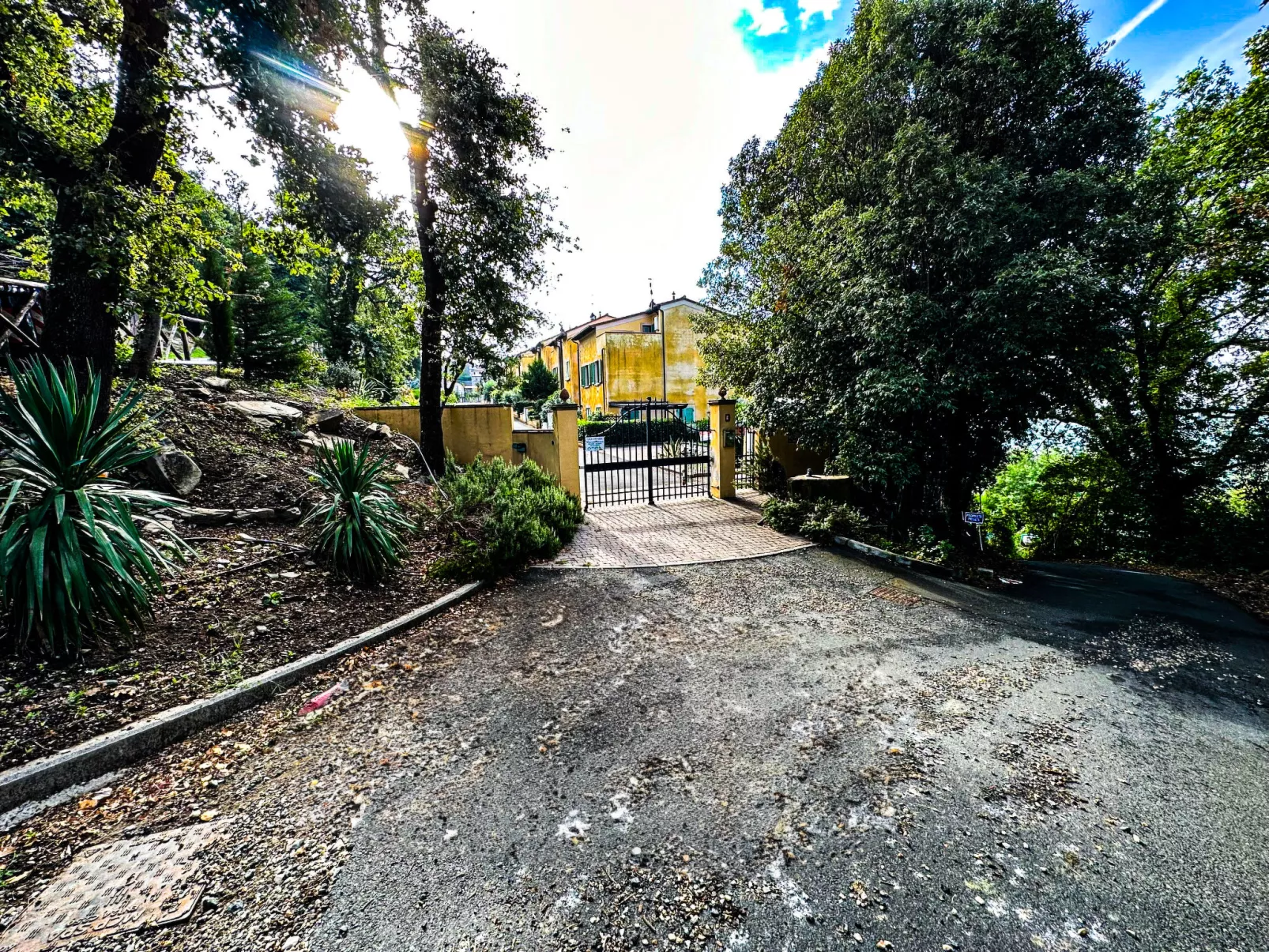 Corbezzolo-Outside