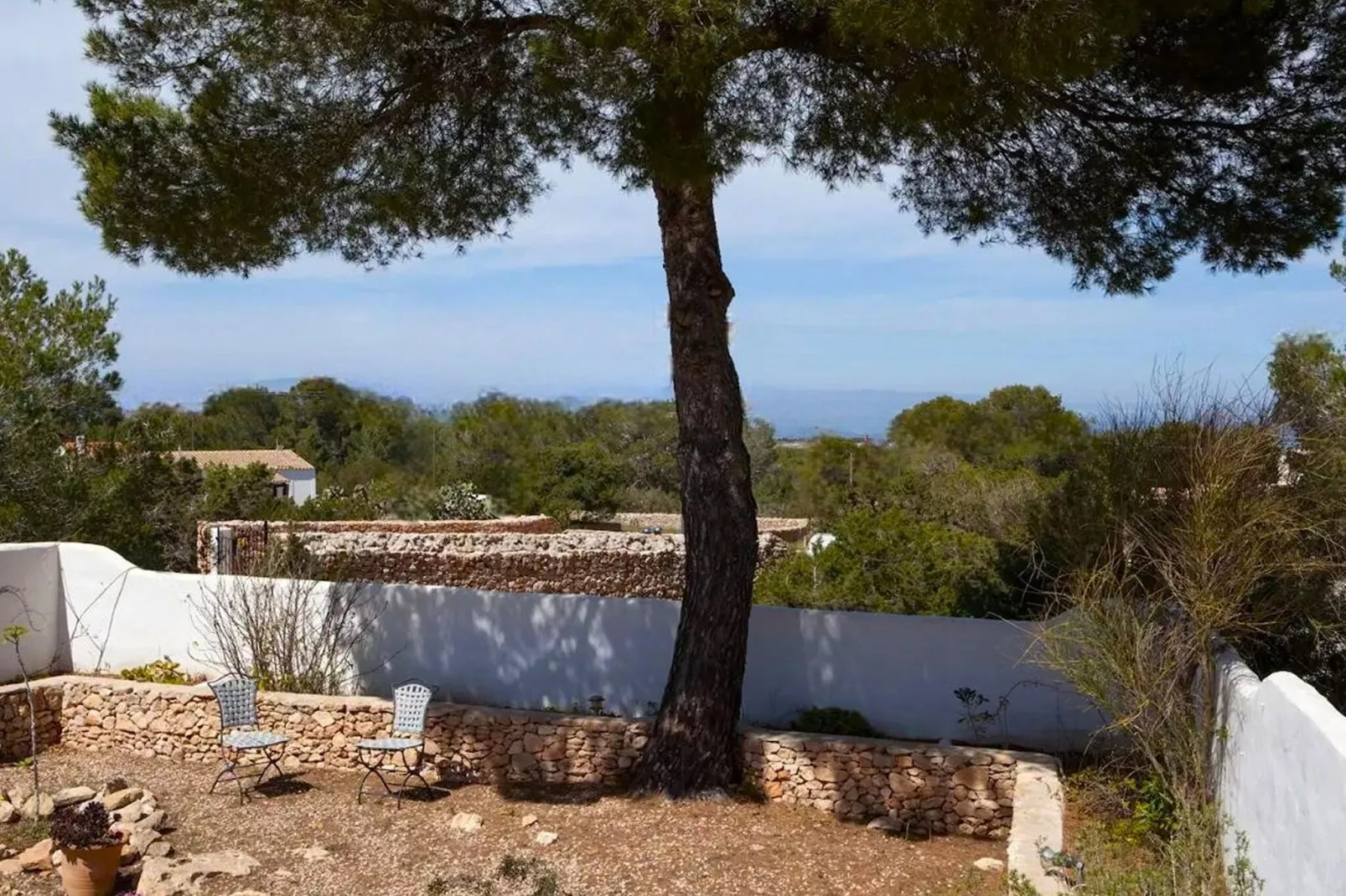 Casa Dragón-Gardens summer