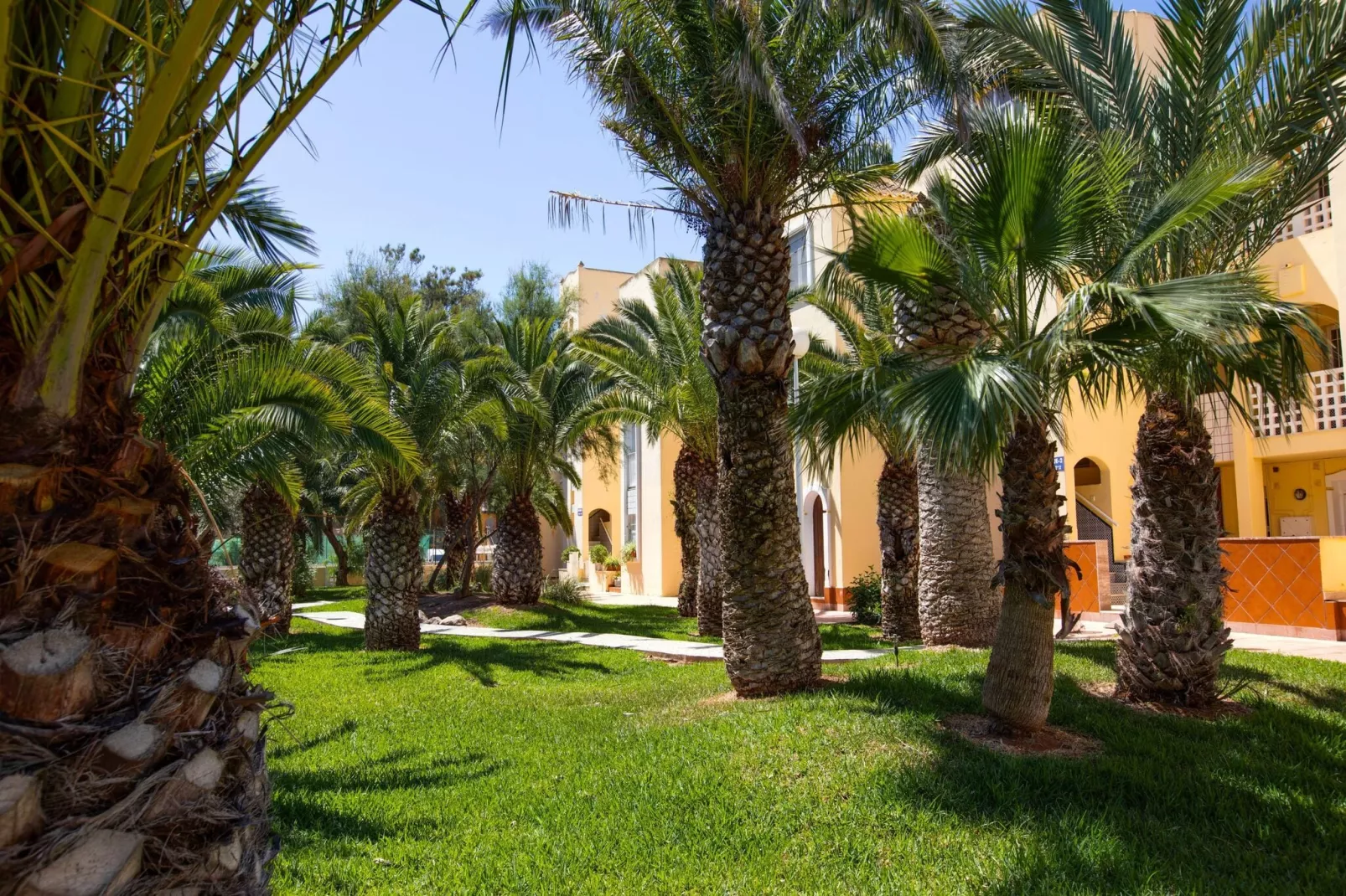 Macael Bajo 203-Gardens summer