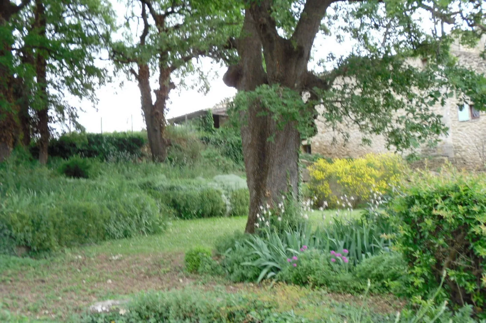 Le Gîte-Gärten Sommer