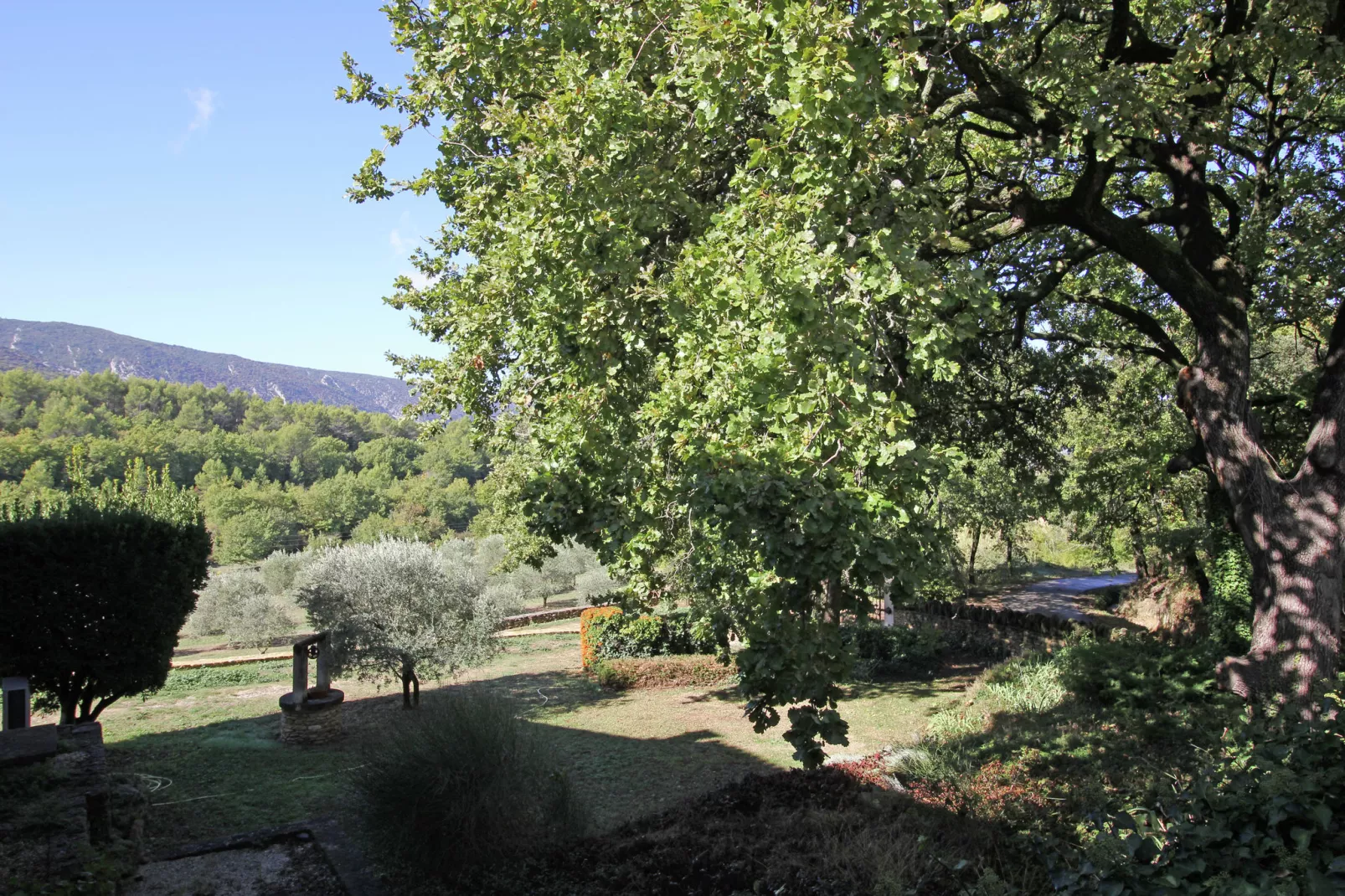 Le Gîte-Aussicht Sommer