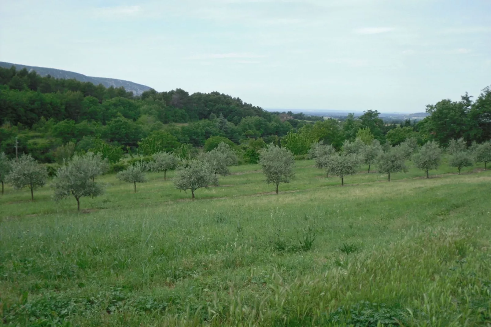 Le Gîte-Gebiete Sommer 1 km