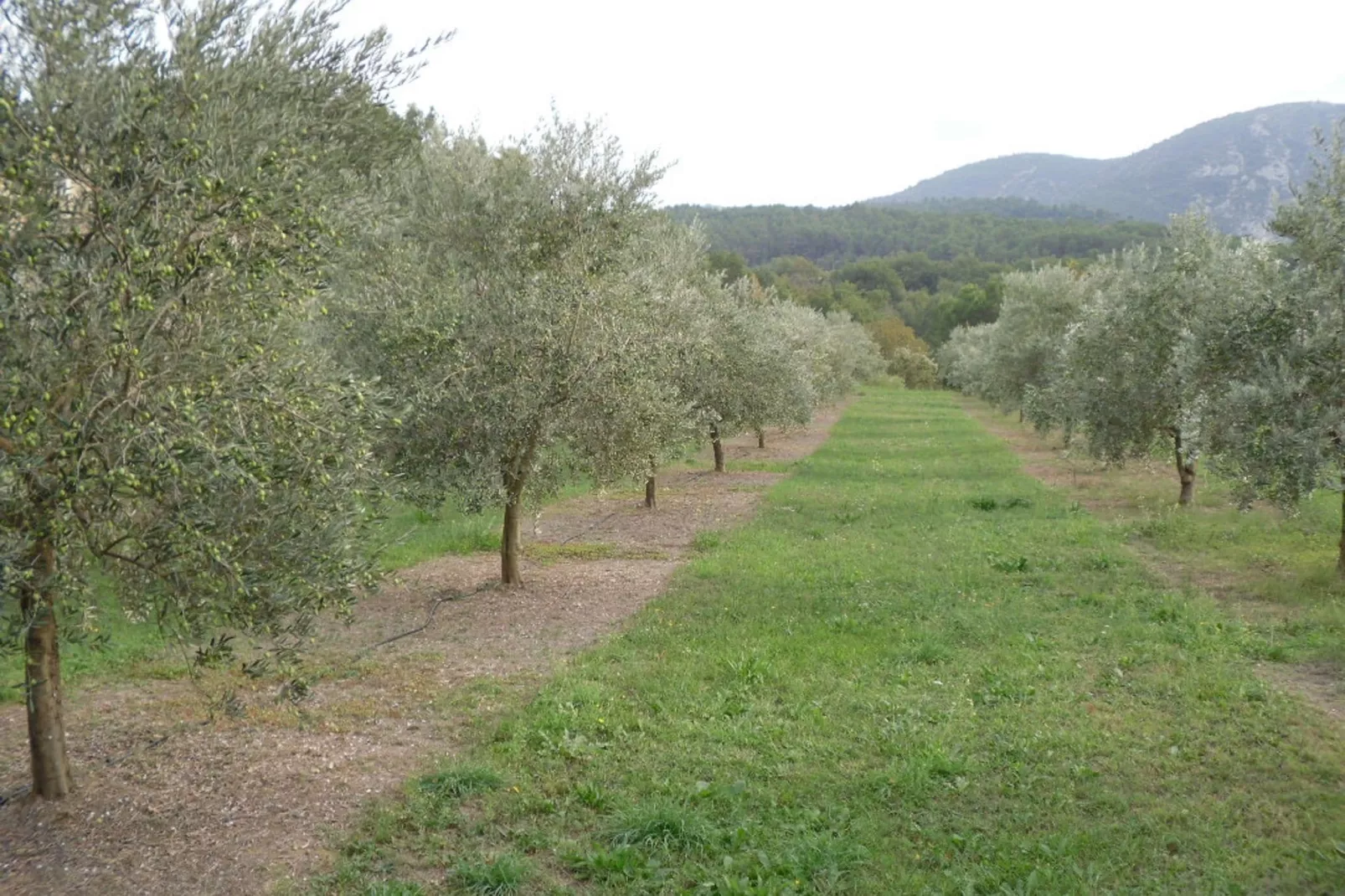Le Gîte-Gebiete Sommer 1 km