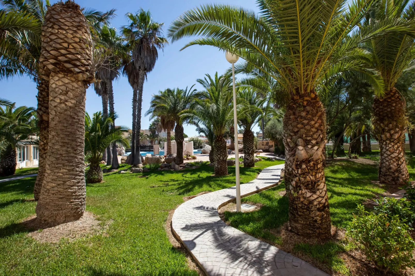 Macael Bajo 202-Gardens summer