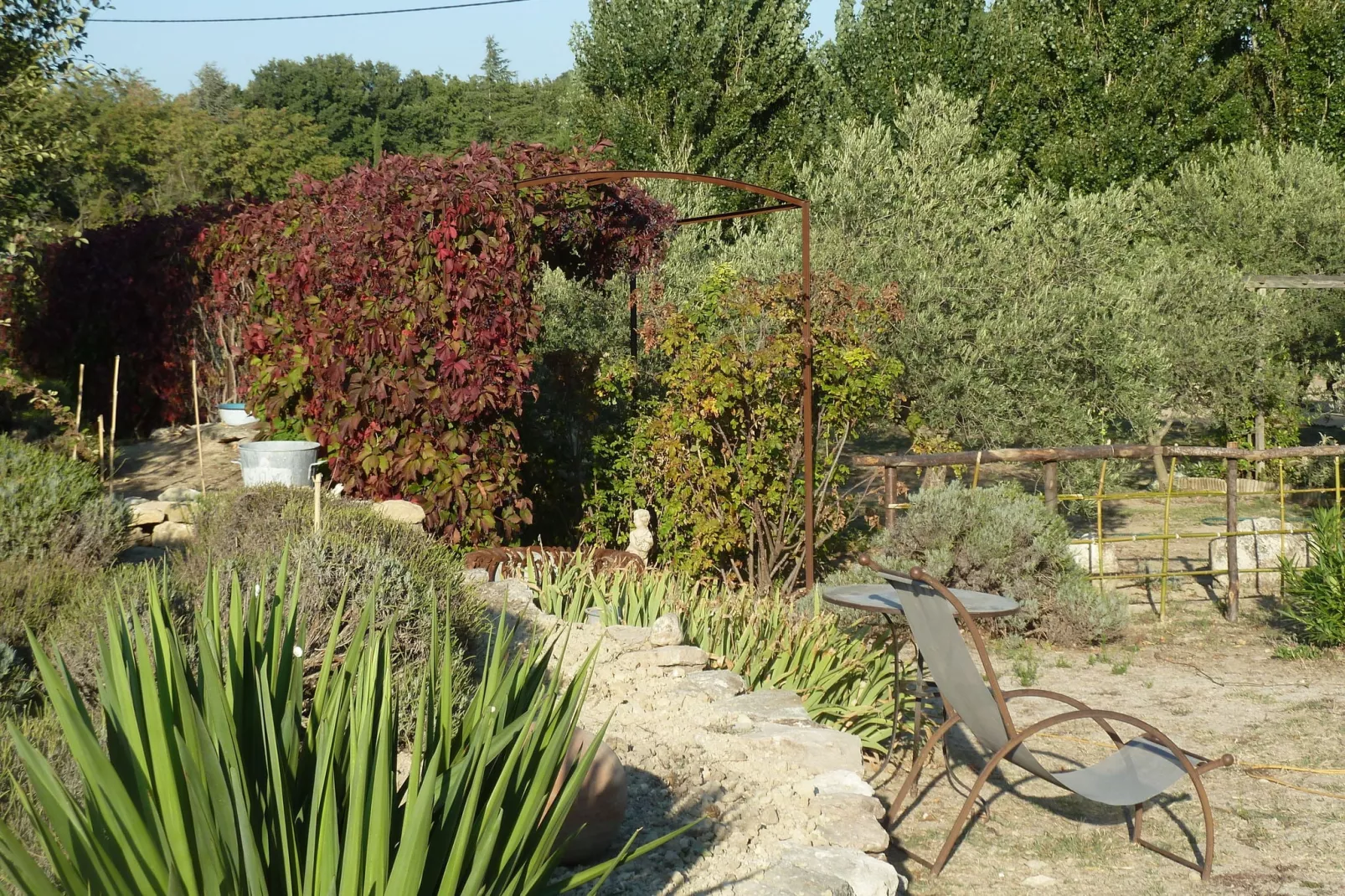 Le Figuier-Jardin d'été