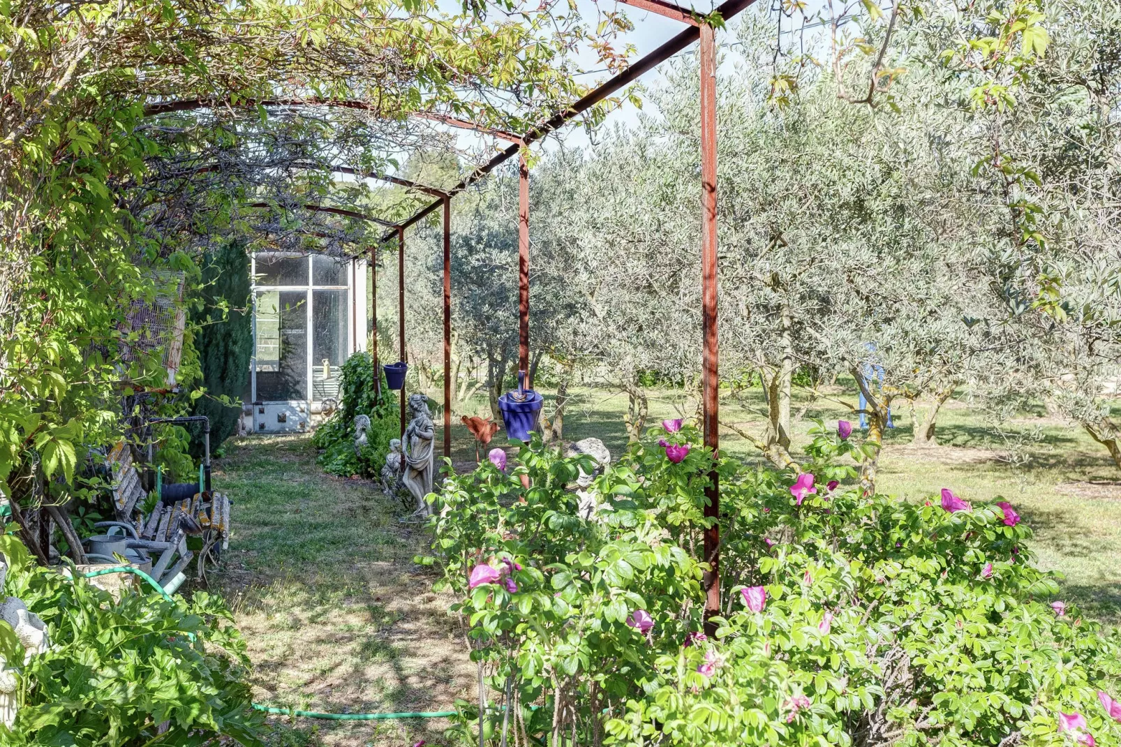 Le Figuier-Jardin d'été