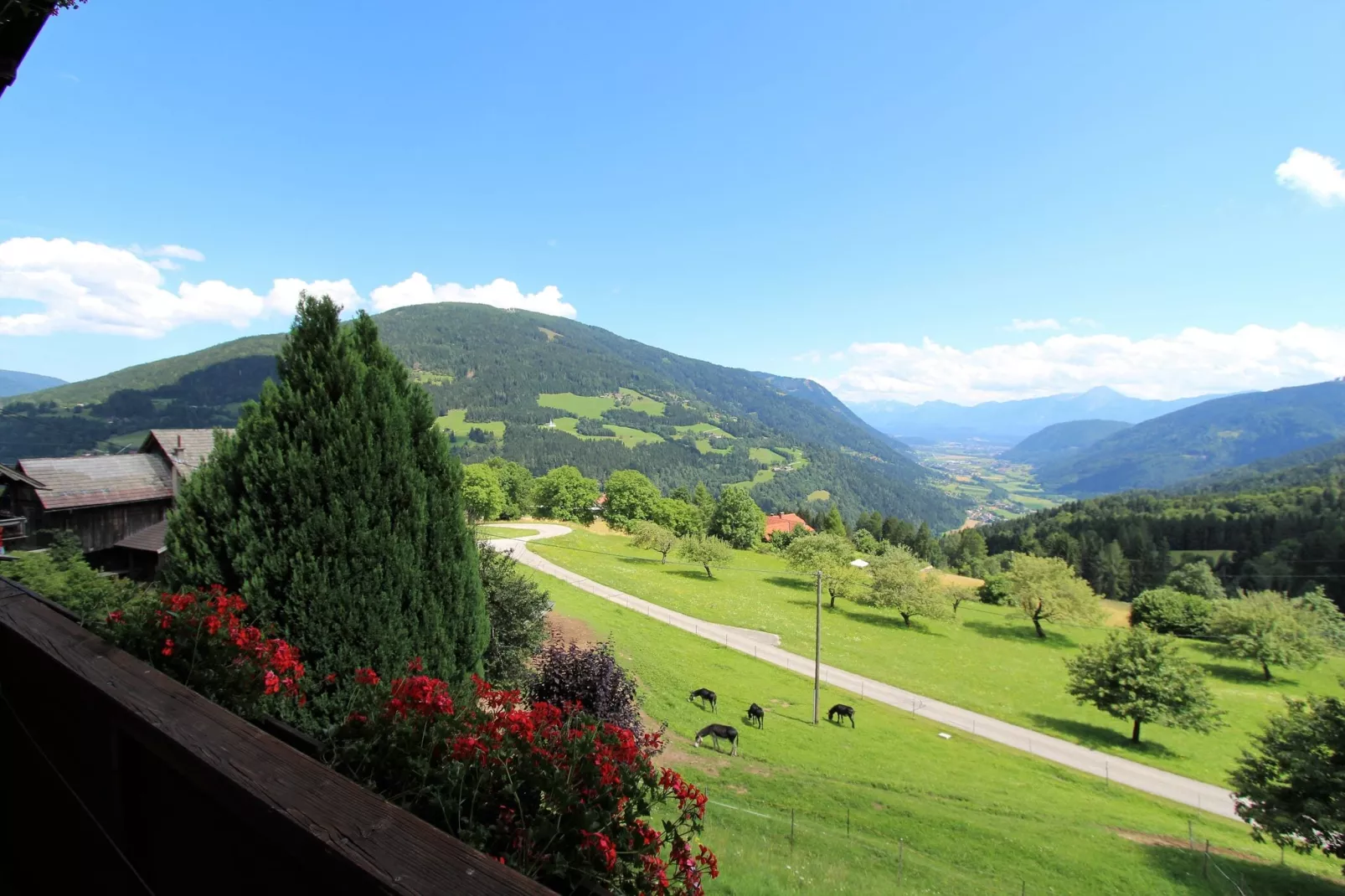 Apartment Verditz 3-View summer