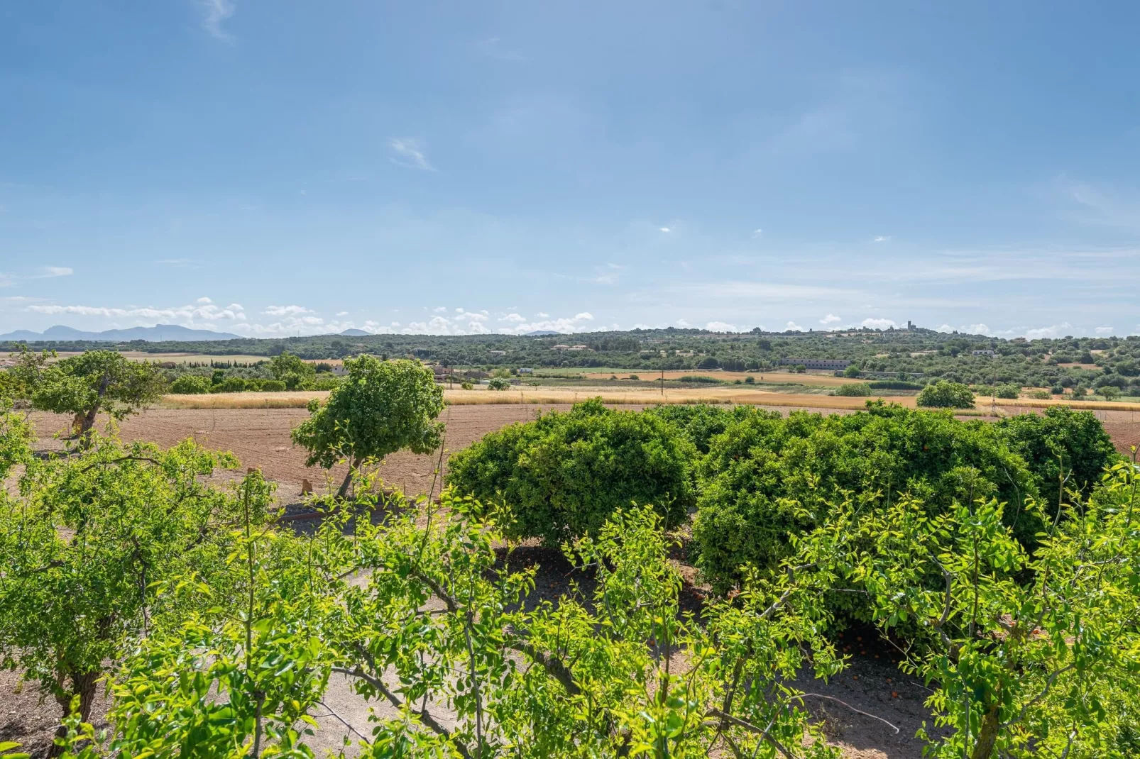 Vista Sol-Exterior summer