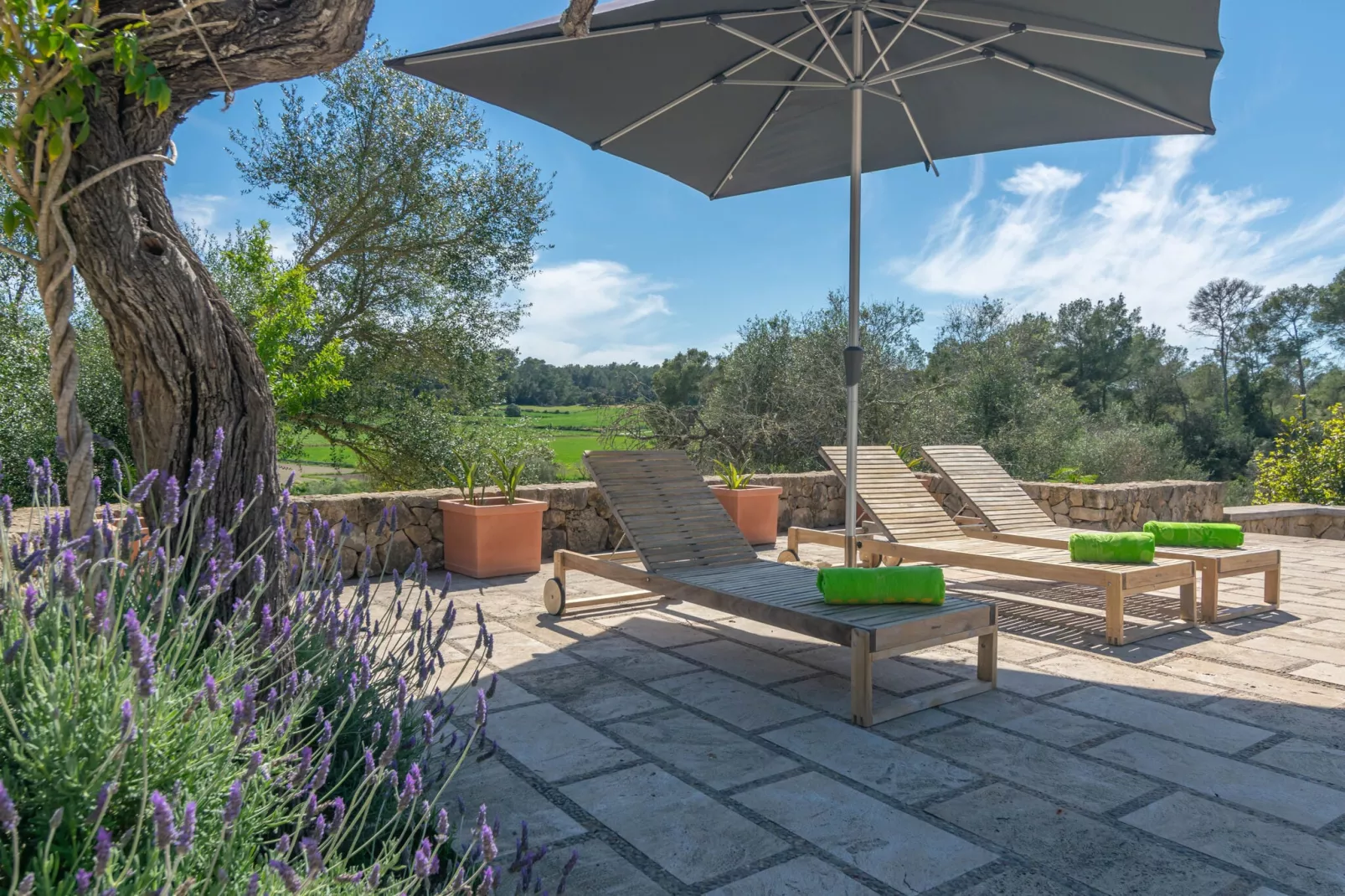 Hortella (ecofinca)-Exterior summer