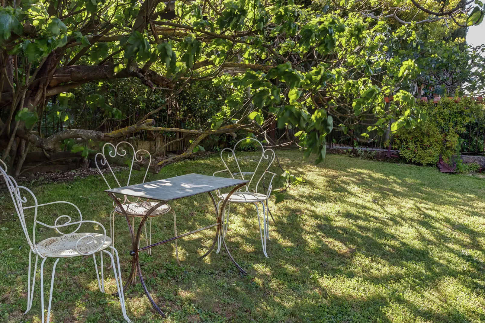 Le Mûrier-Gardens summer