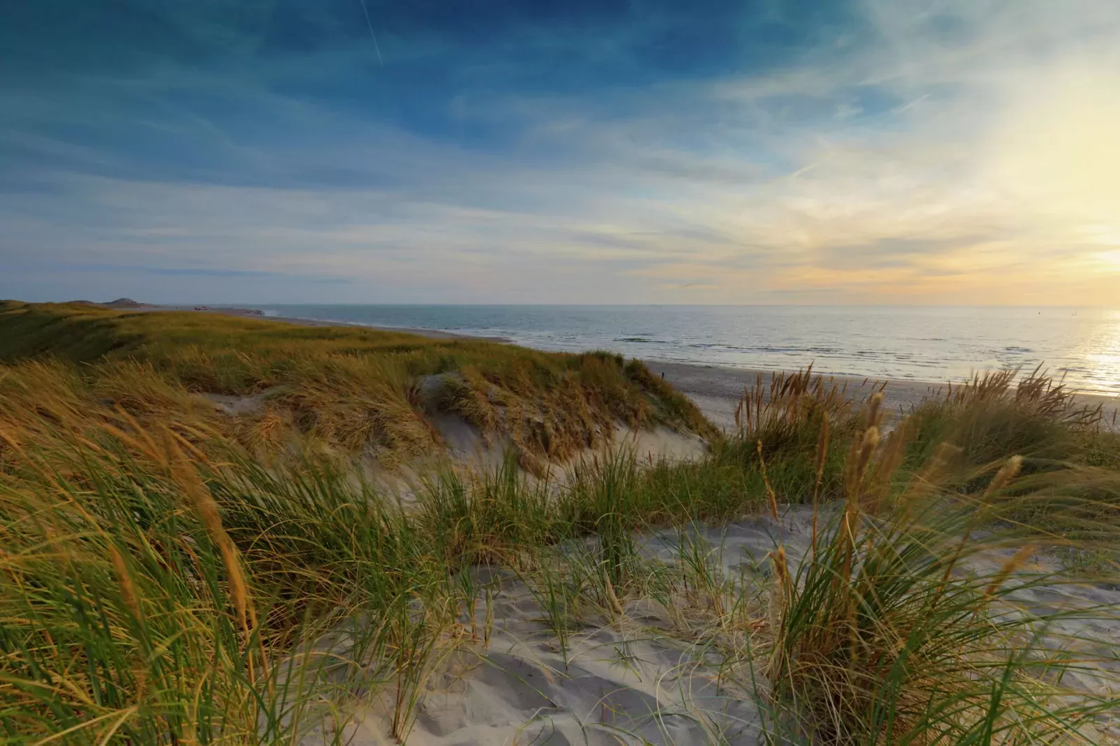 Water Resort Oosterschelde 28-Areas summer 20km