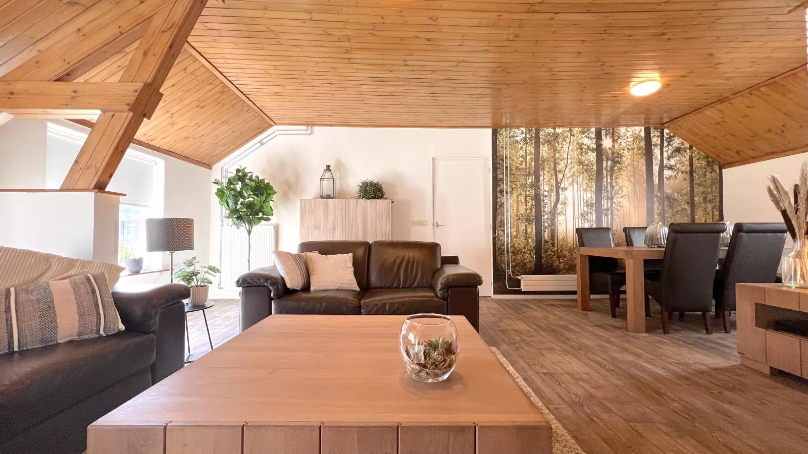 Achter de Vijf Linden-Living room