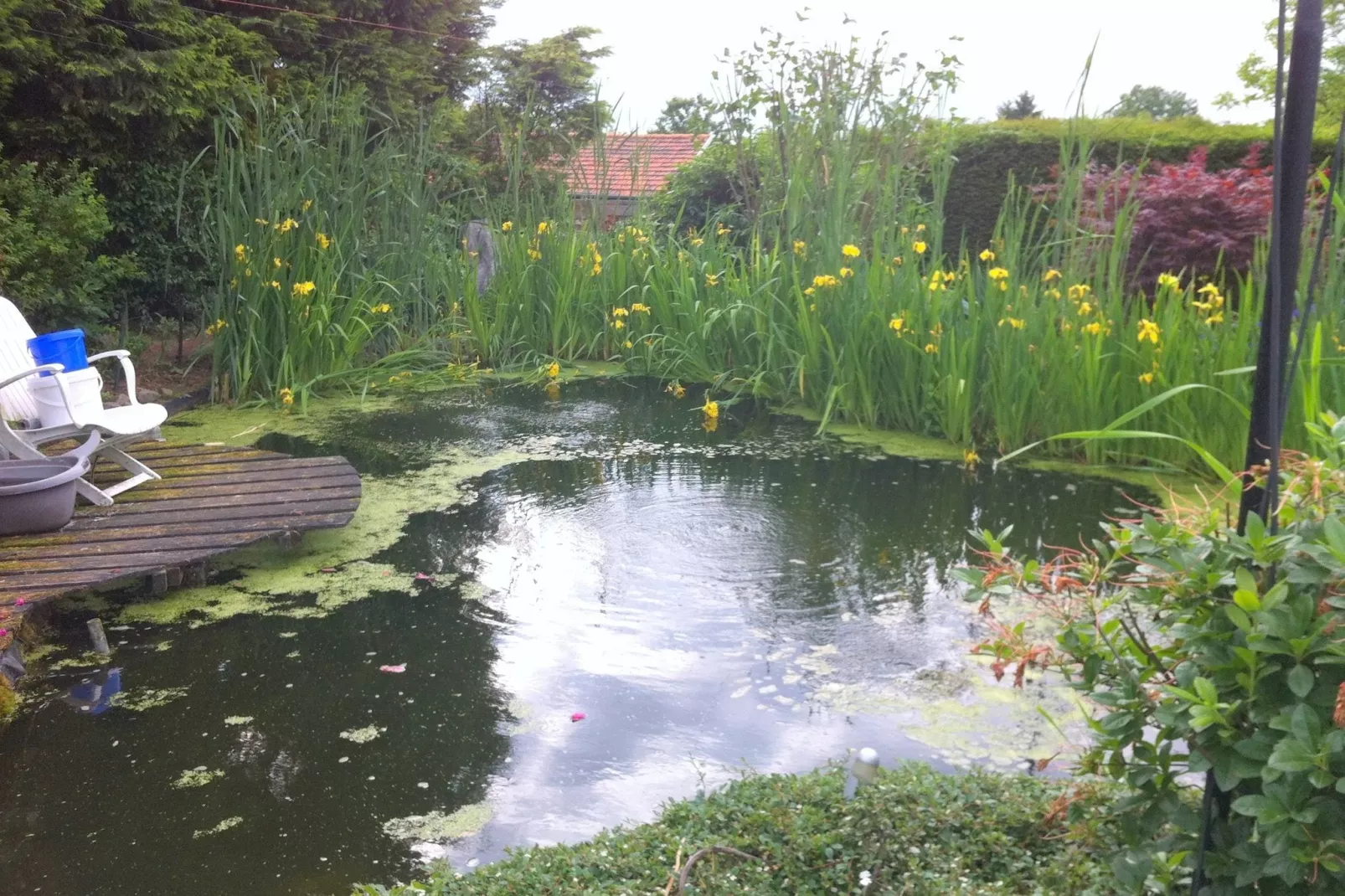 De Sjuur-Gardens summer