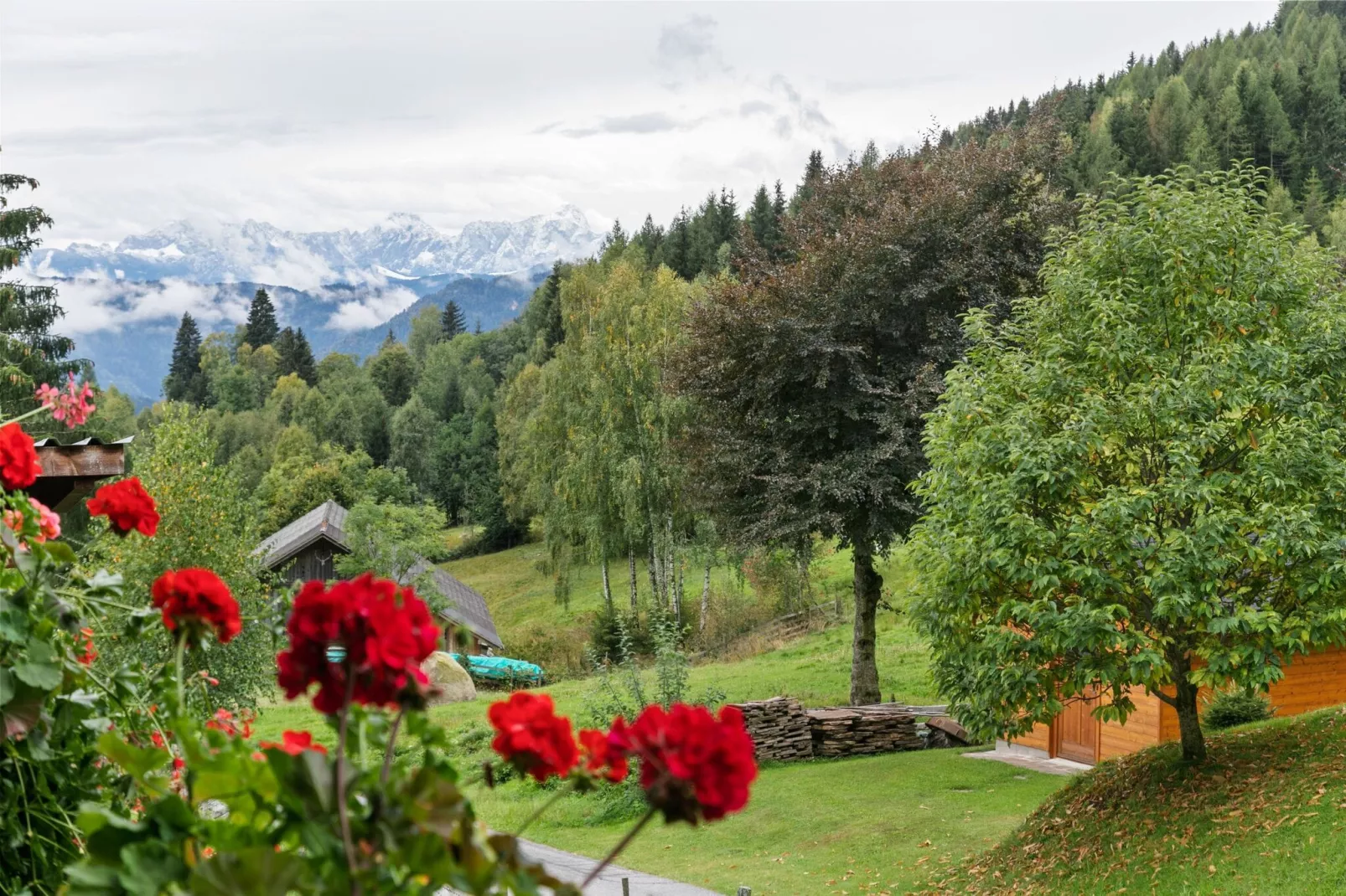 Haus Blocher-View summer