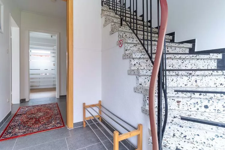 Strandaster-Palier