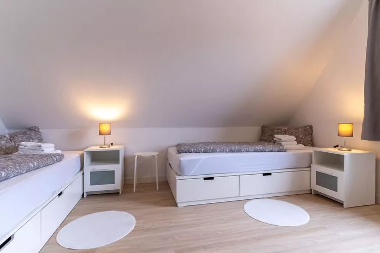 Strandaster-Chambre