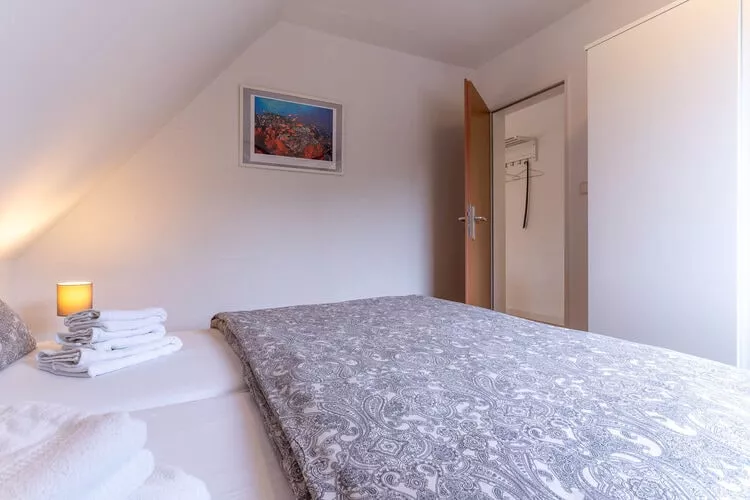 Strandaster-Chambre