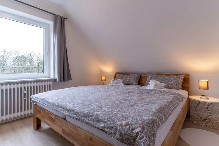 Strandaster-Chambre