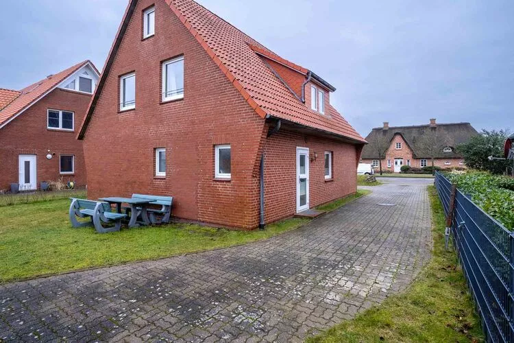 Strand-Grasnelke-Exterior summer