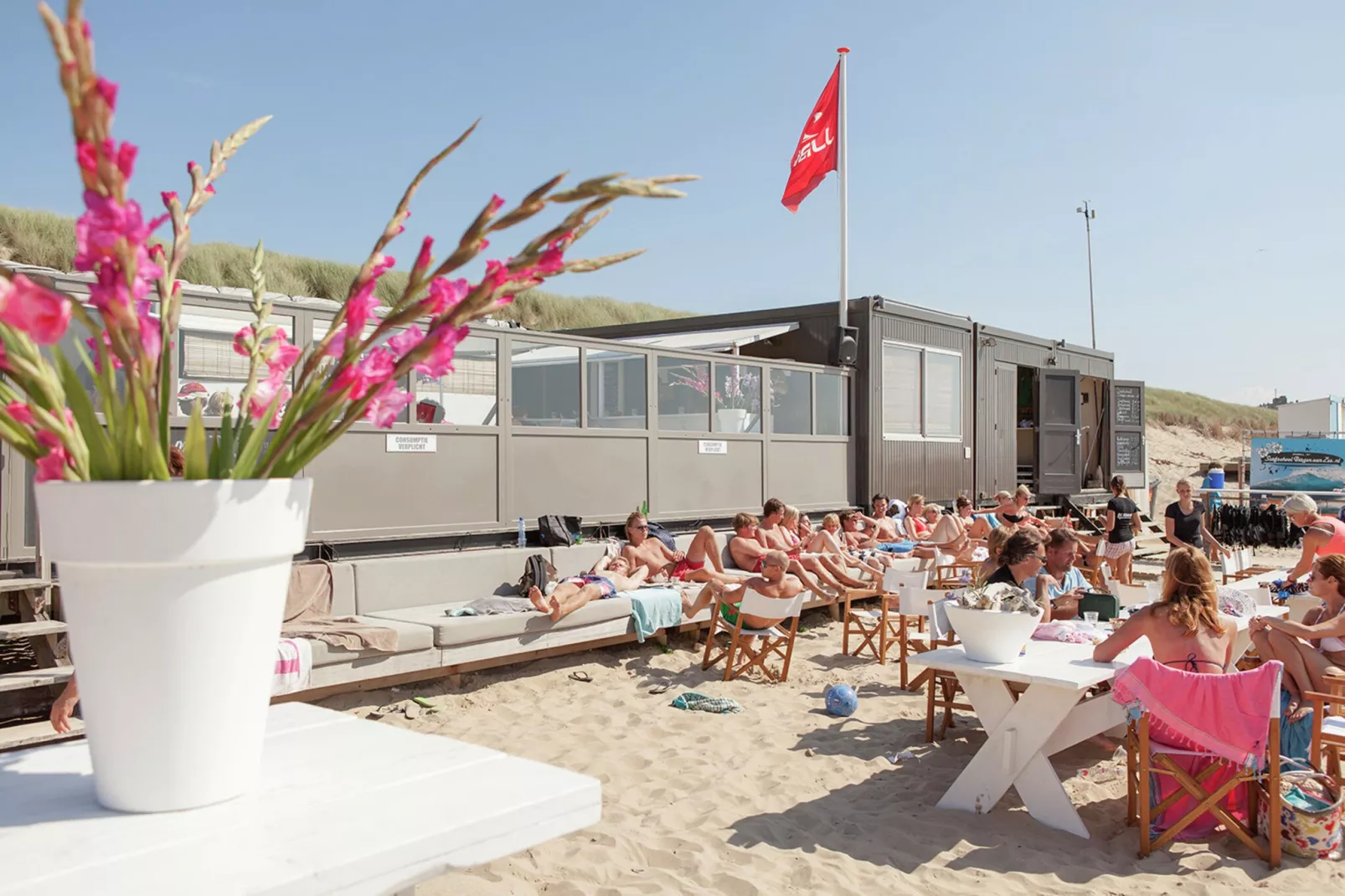 Schoorlse Duinvoet-Gebiete Sommer 5 km
