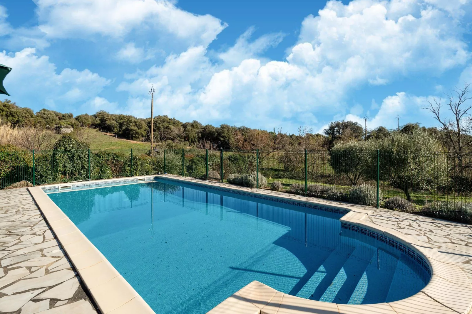 La Chouette de Minerve-Pool