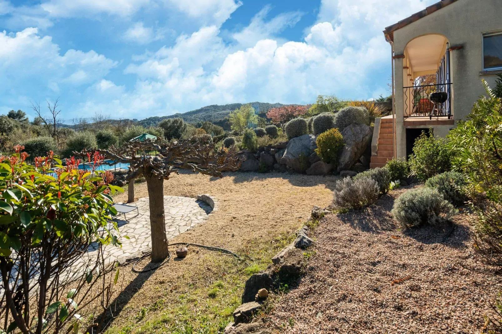 La Chouette de Minerve-View summer