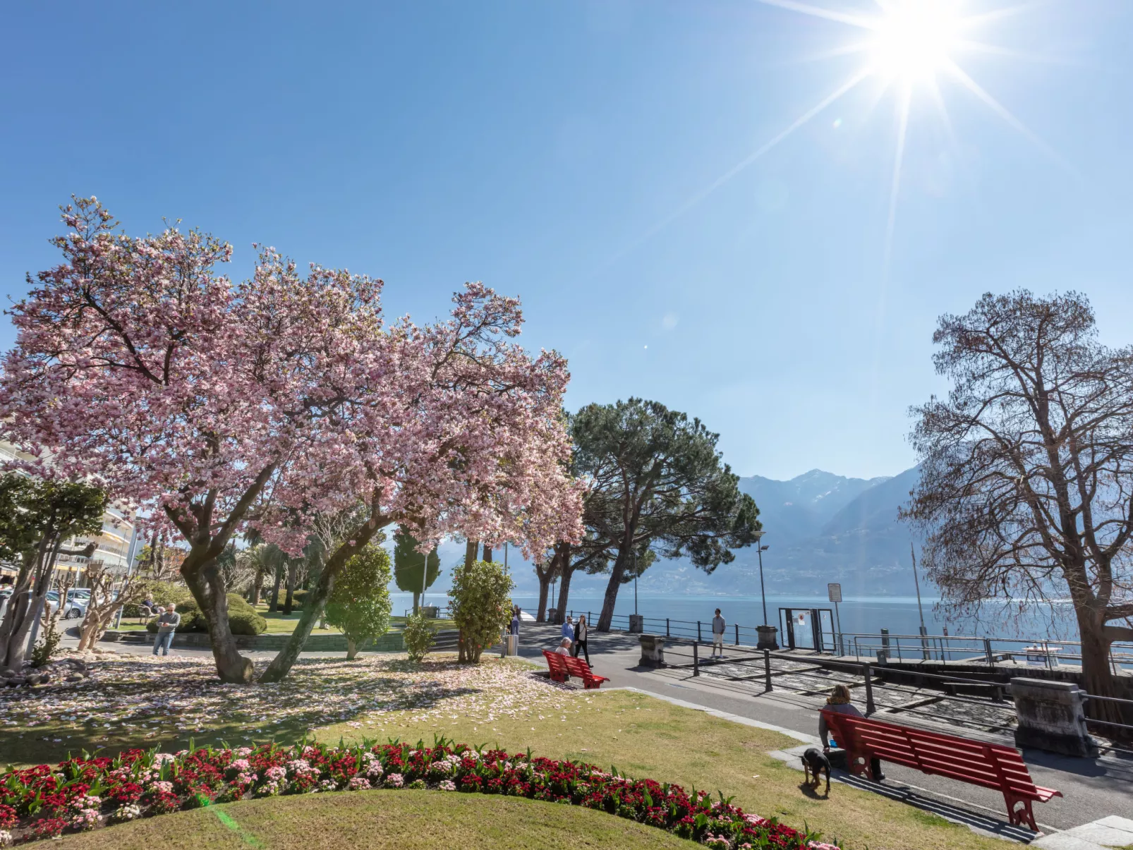 Da Gina Honey Moon Ascona-Umgebung