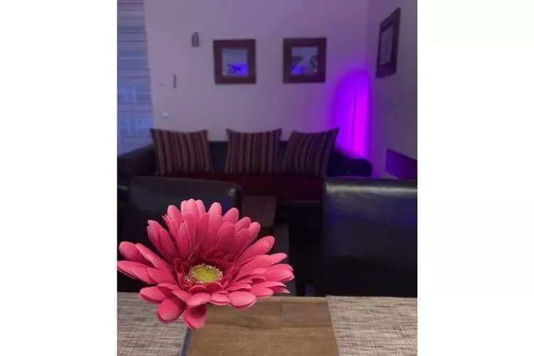 379669-Not tagged
