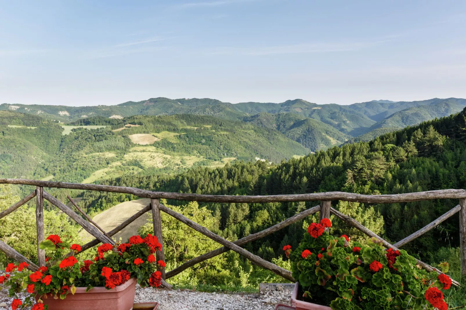 La Collinaccia-View summer