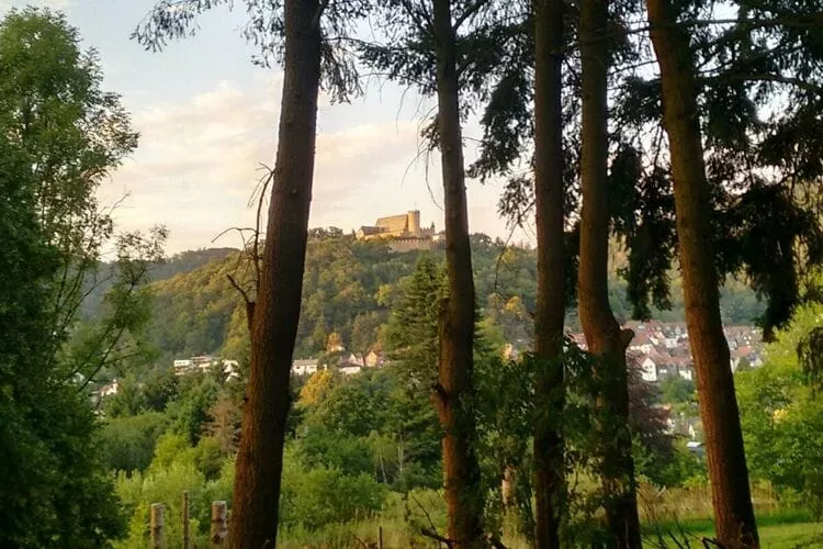 397272-View