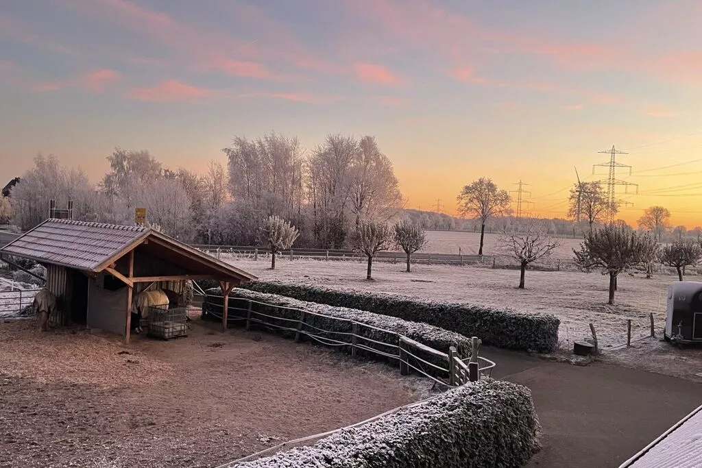 228435-View