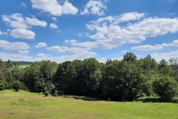 411738-View