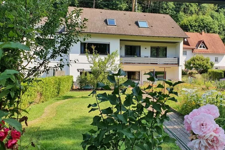 344669-View