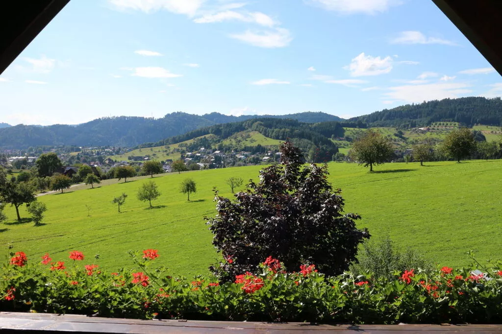 188763-View