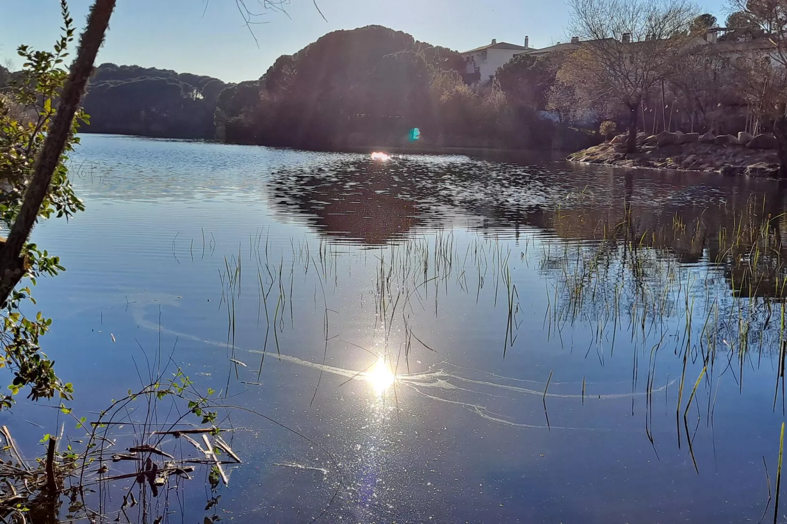 FH in las Jaras - CT 119 CO 8PAX-Water view