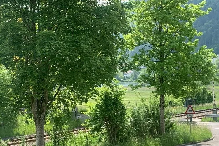 378848-View