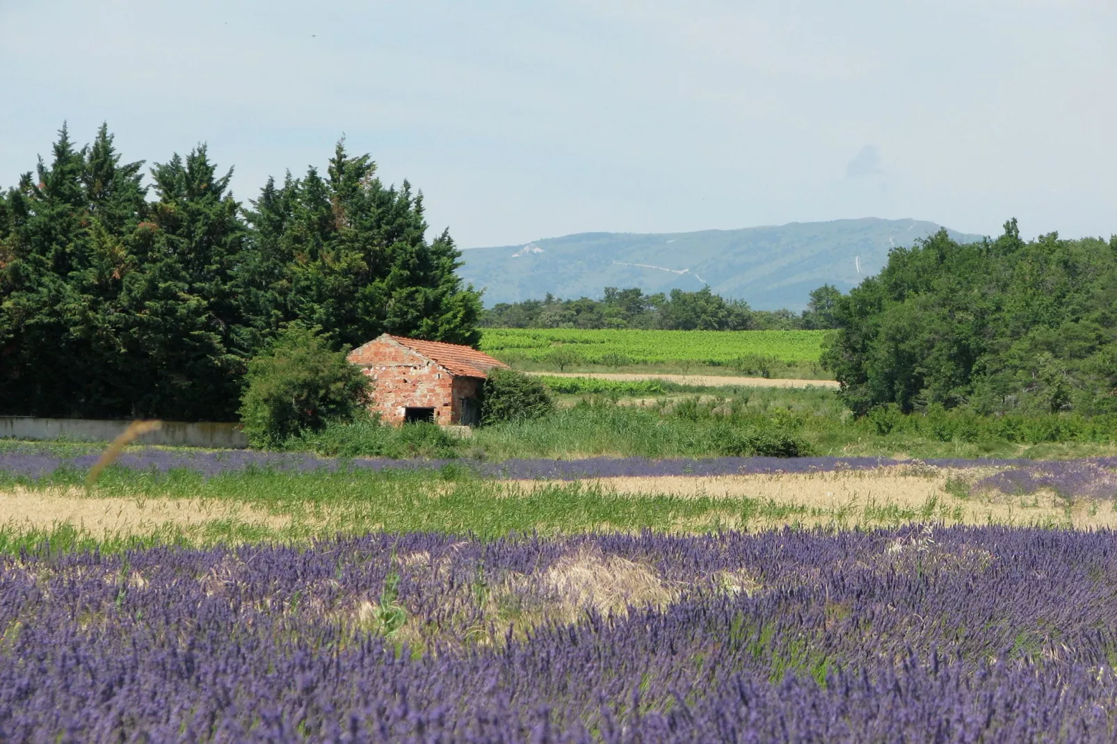 Rosalie-Gebiete Sommer 1 km