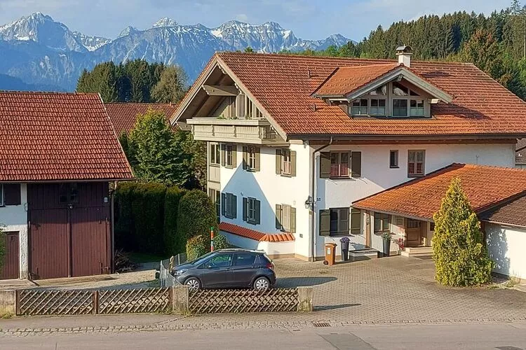 397185-View