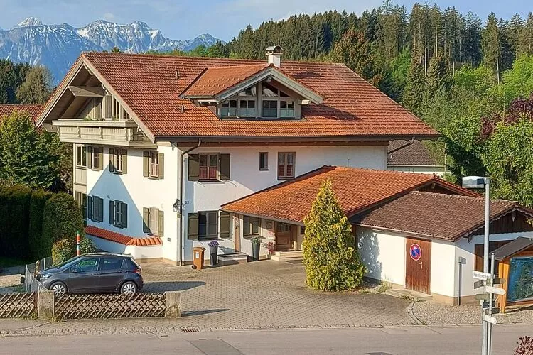 397184-View