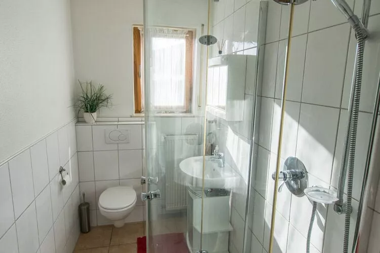 323095-Bathroom