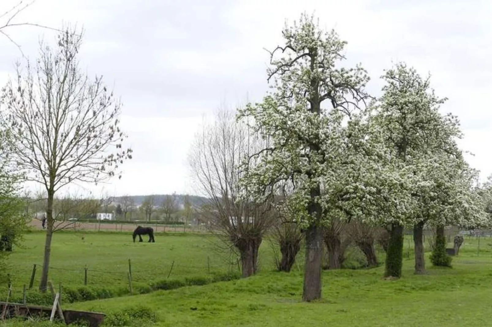 Meschermolen 12-Areas summer 1km