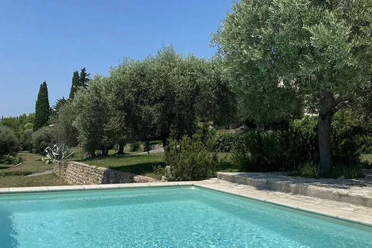 395050-Pool