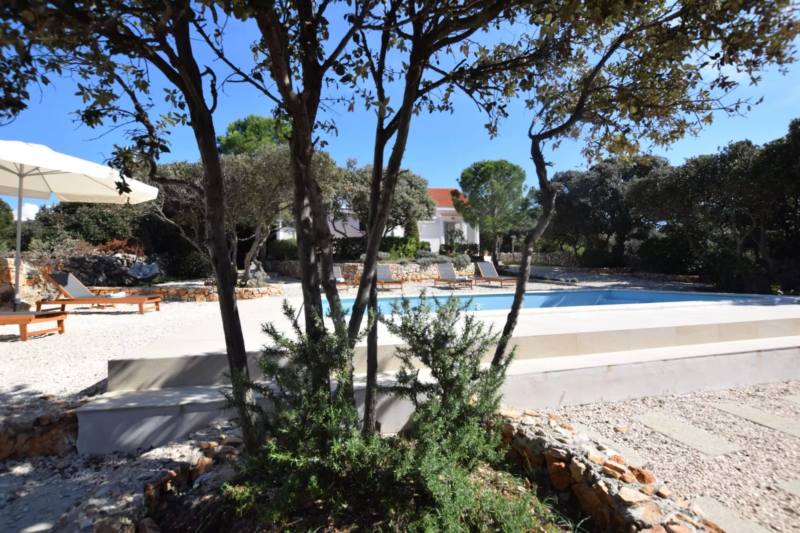 Apartment Petar-Pool