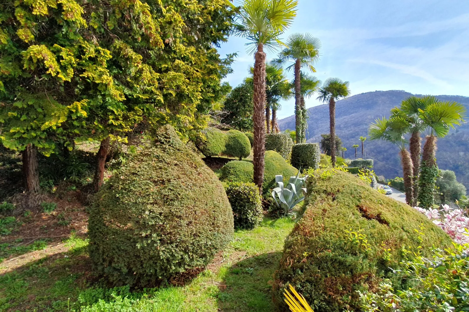 PAN03/4 -  Residenza Panorama-Gardens summer